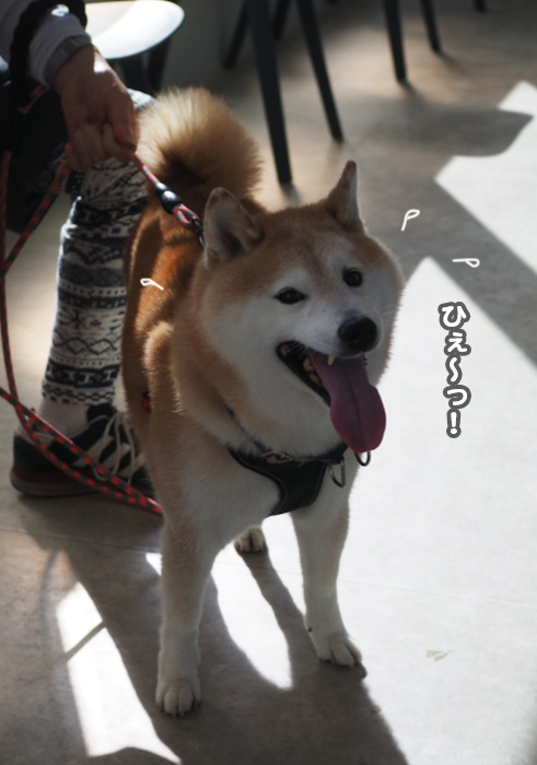 27日夕ブログ４