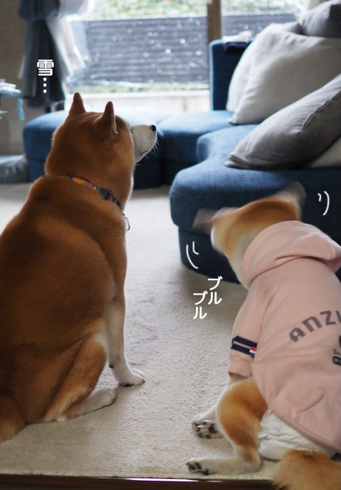 7日ブログ２