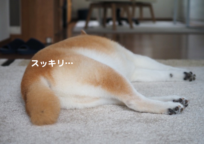 13日ブログ４