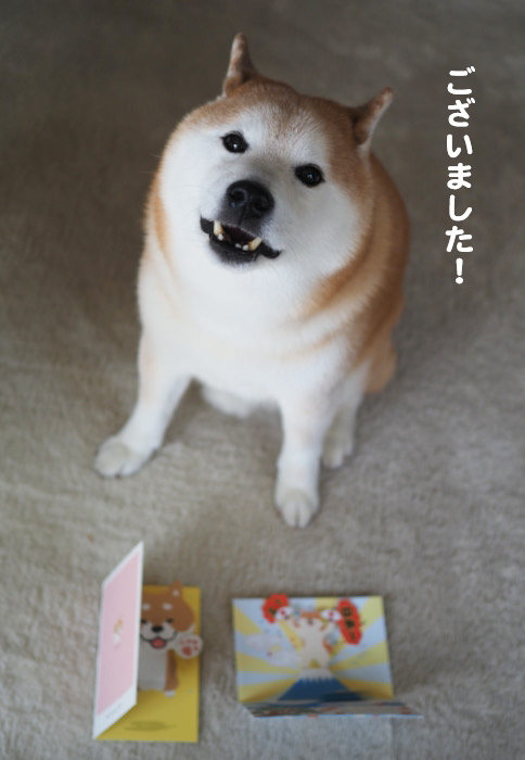 28日ブログ３