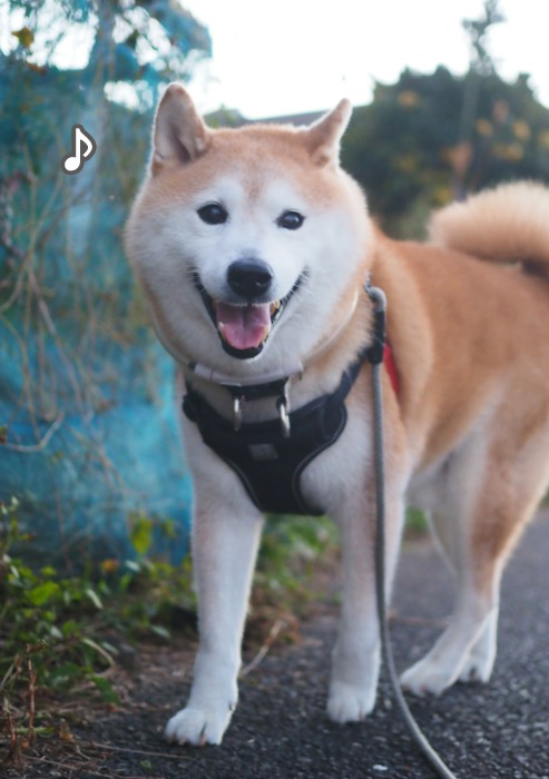 20日ブログ６