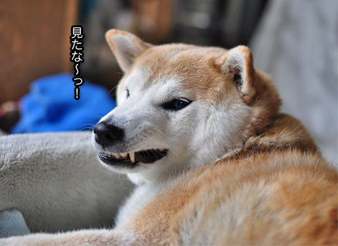 28日ブログ５.jpg