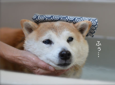26日ブログ3.jpg