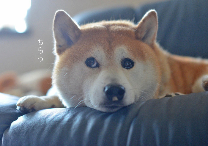 28日ブログ8