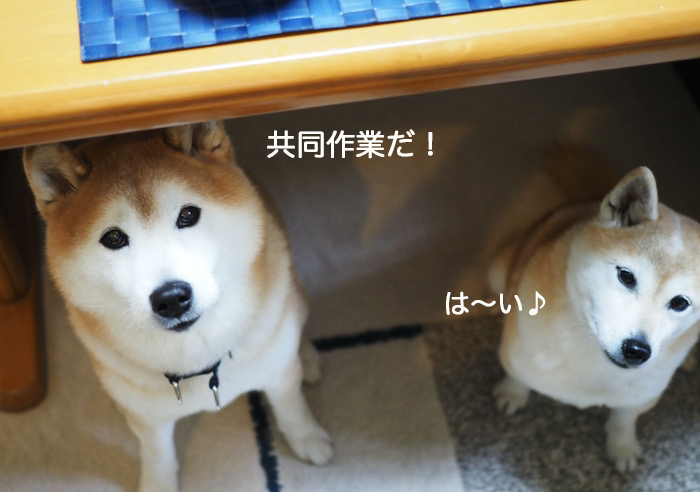 18日夜ブログ４