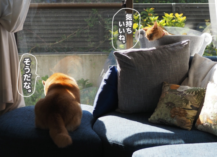 28日夕ブログ６