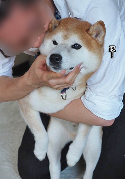 18日ブログ１１