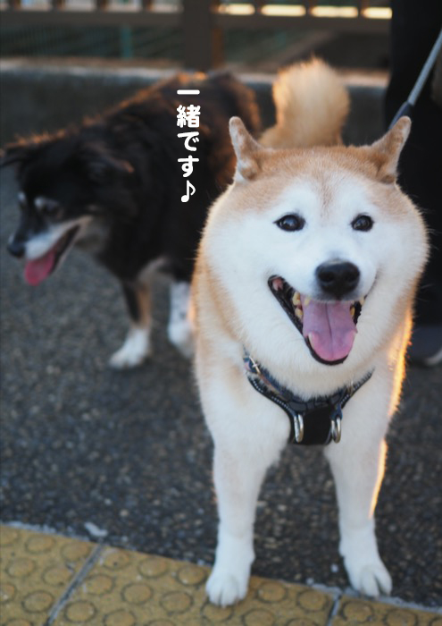 12日夕ブログ４