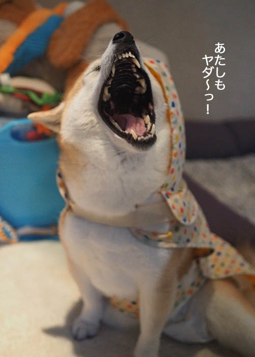 19日夜ブログ２