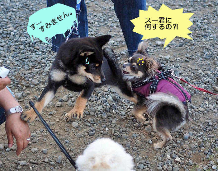 13日ブログ５
