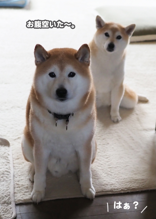 29日ブログ２