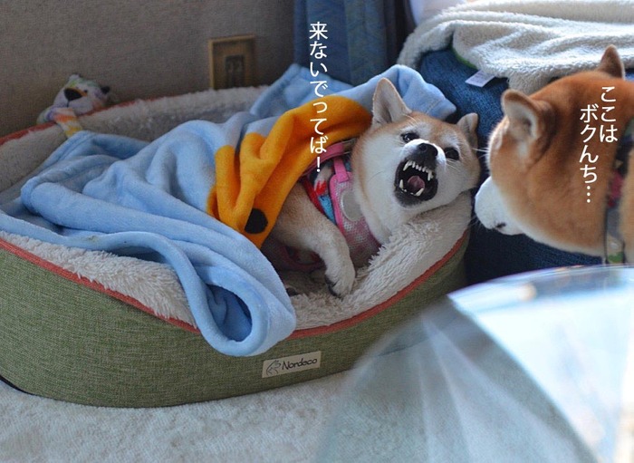 24日ブログ4