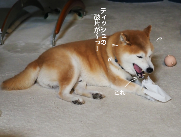 27日ブログ７