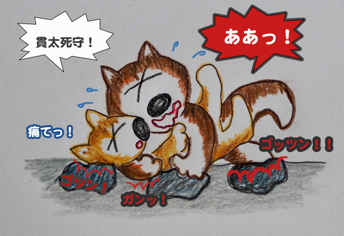 17日夕ブログ５