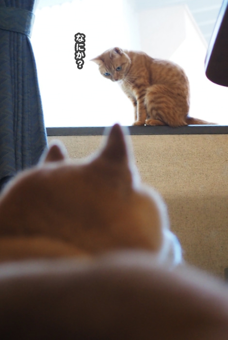 15日ブログ４