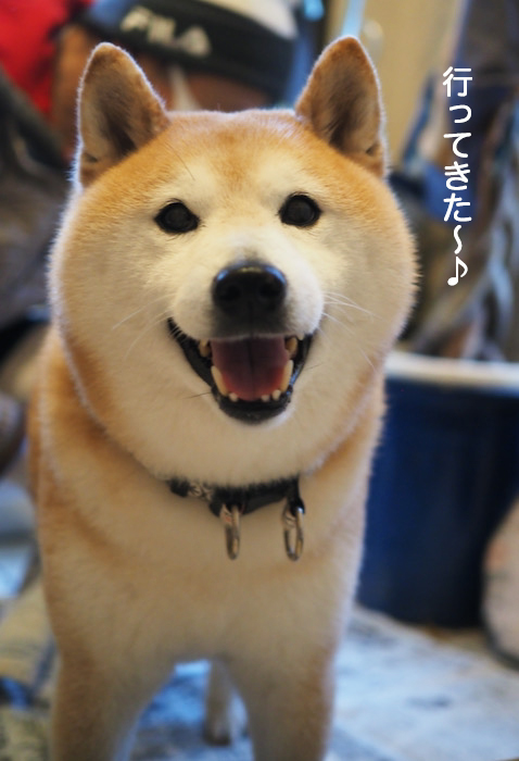 18日夜ブログ９