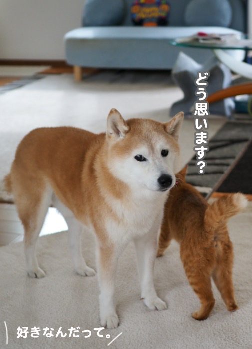 1日夕ブログ１３