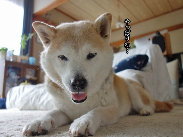 9日ブログ5