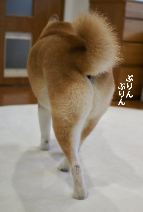 9日夕ブログ２