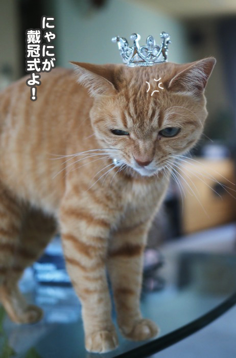 6日夕ブログ7