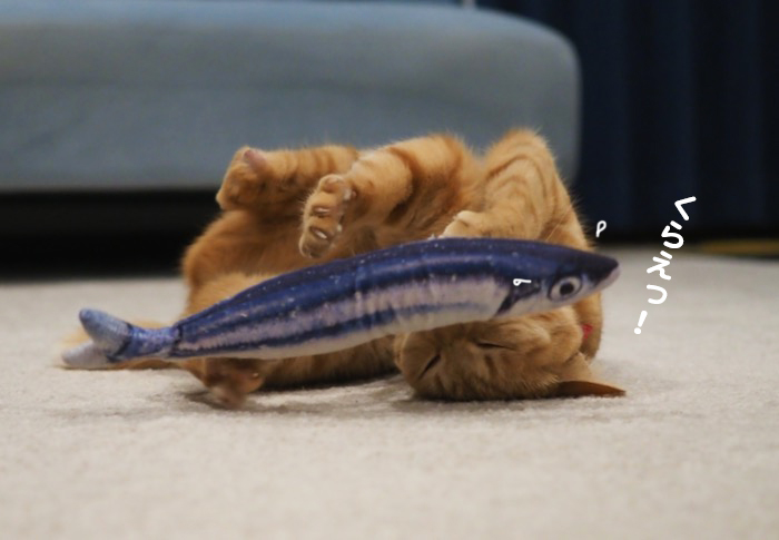 11日夕ブログ６