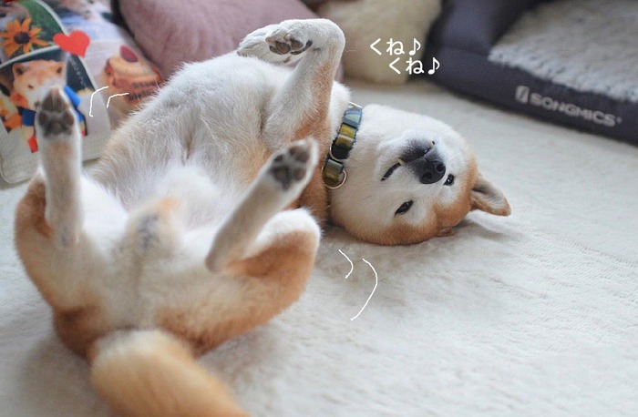28日午後ブログ2
