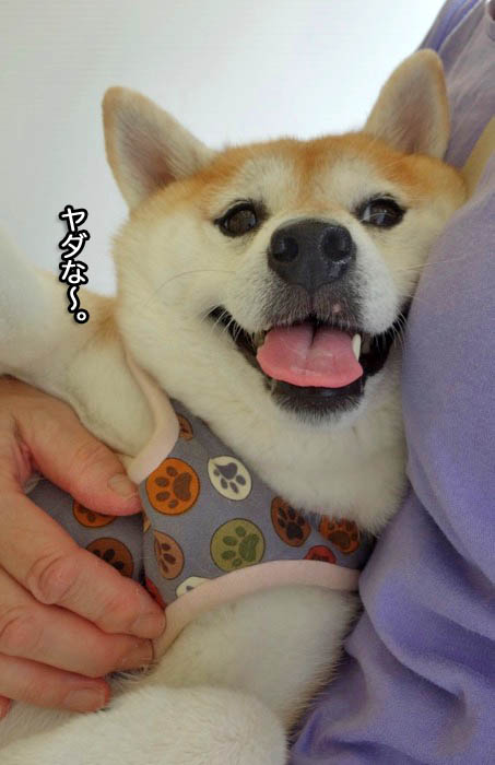2日ブログ２