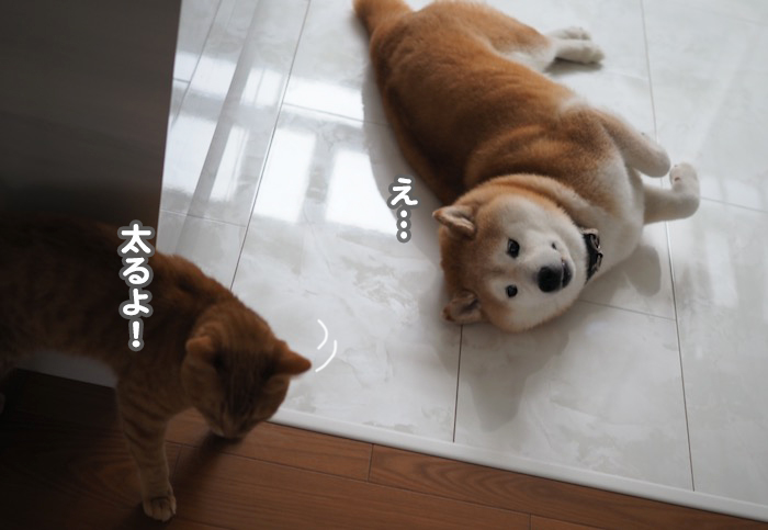 10日夕ブログ８