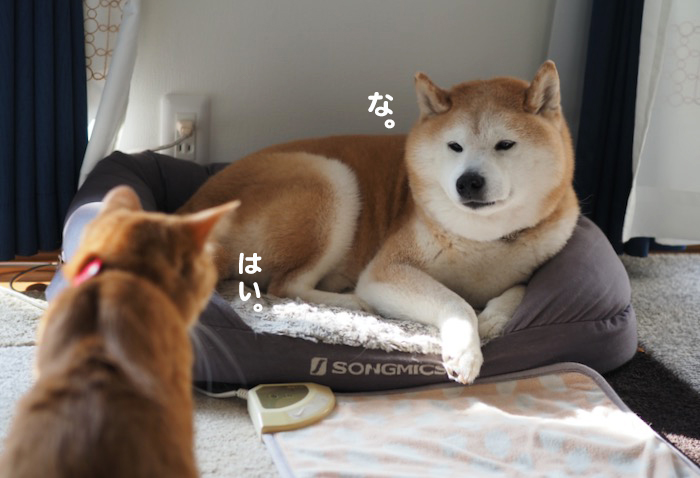 17日午前ブログ４