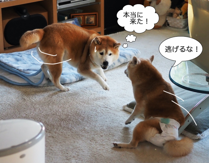 16日夜ブログ７