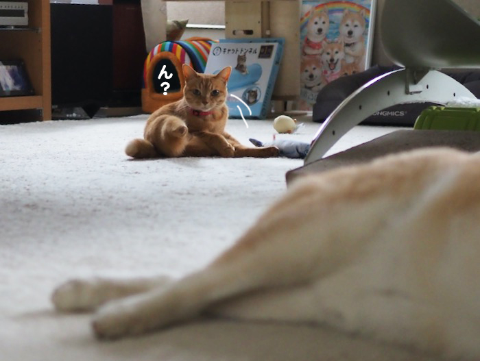 28日ブログ４