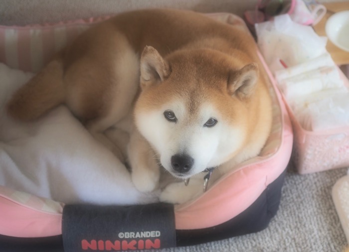 13日ブログ９