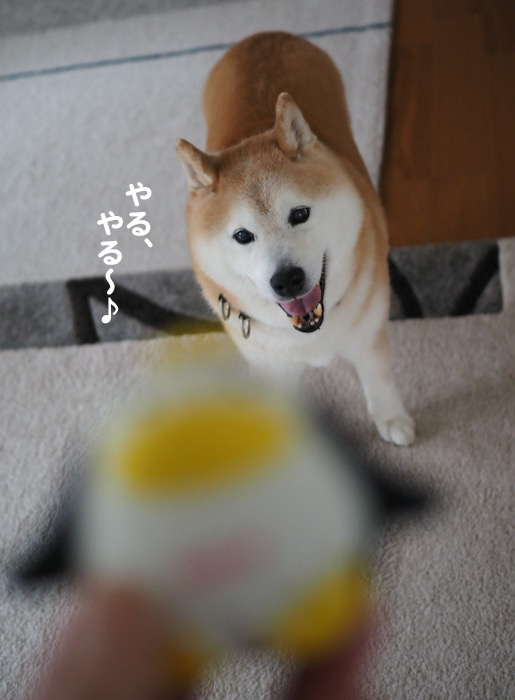 28日夕ブログ２