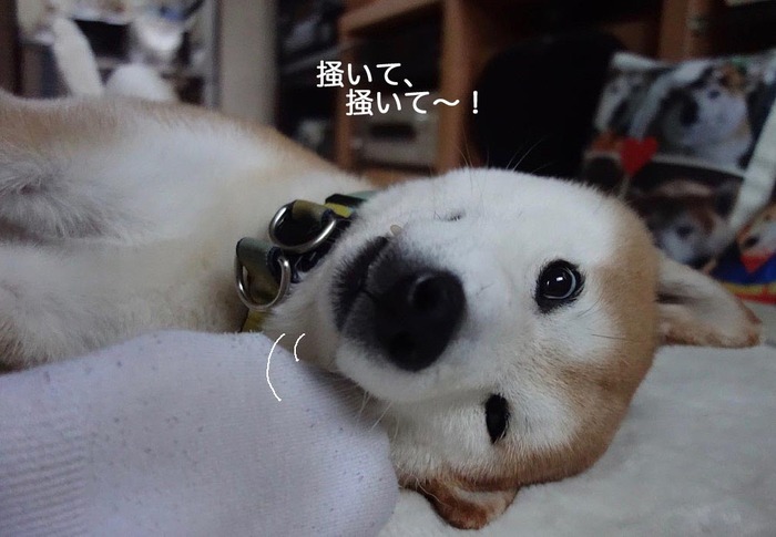 22日朝ブログ4