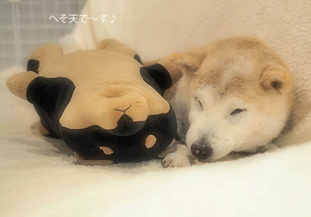 7日ブログ5