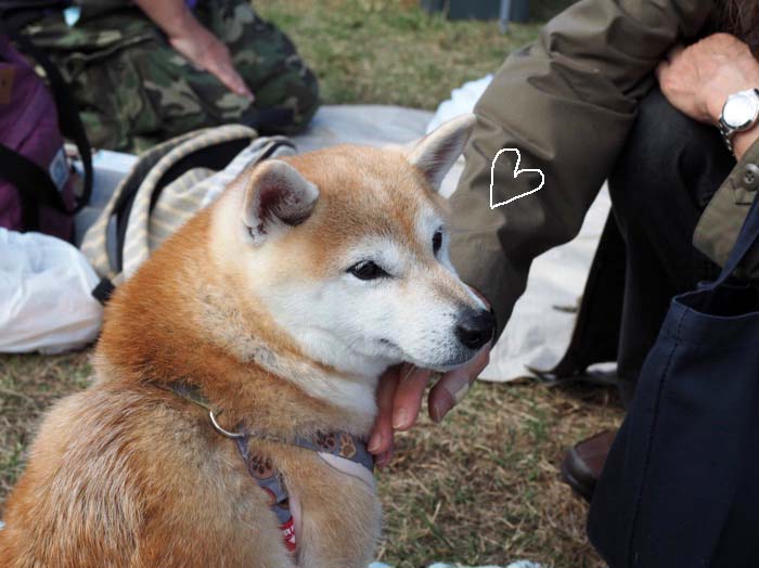 8日ブログ６