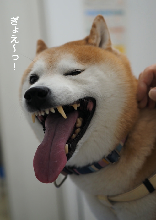 14日夜ブログ4