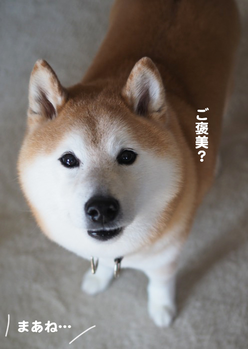 4日ブログ２