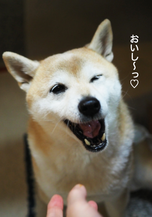 27日夜ブログ６