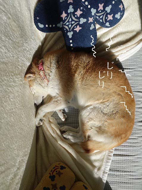 21日ブログ3