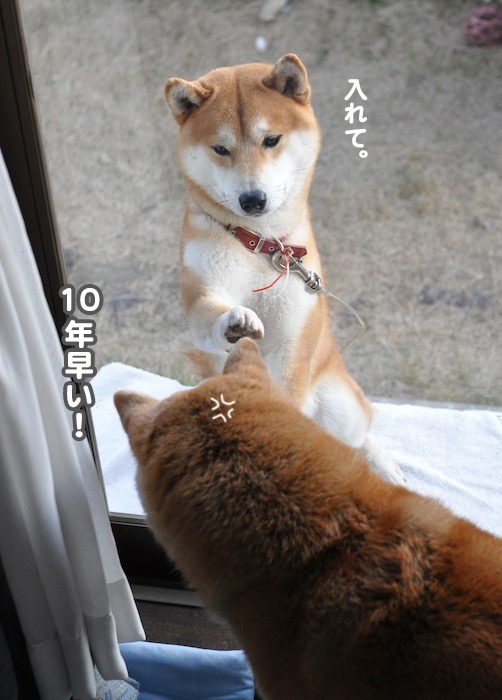 23日ブログ８