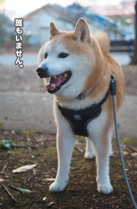 8日夕ブログ２