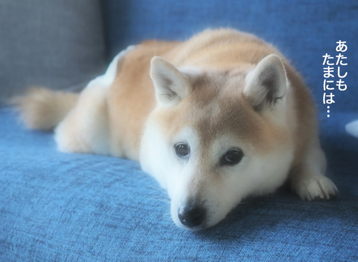 26日ブログ４