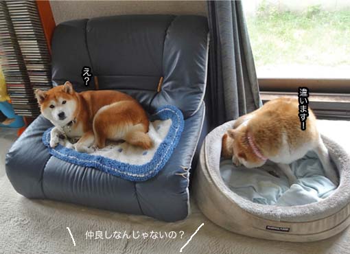 25日ブログ3.jpg