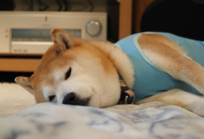 16日夕ブログ９