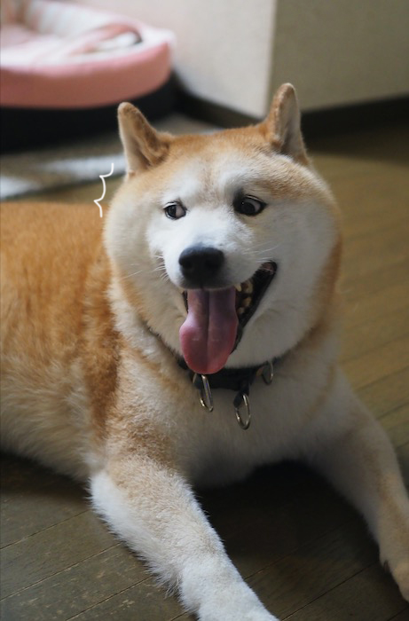 19日ブログ２