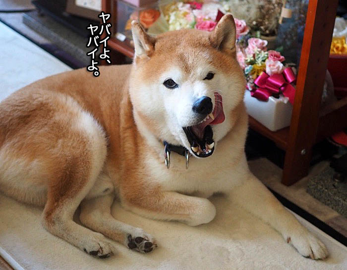 23日午前ブログ１３