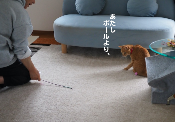 9日夕ブログ６
