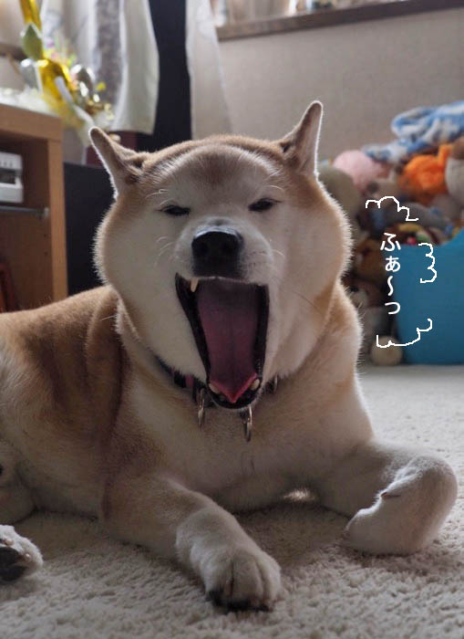 17日ブログ４