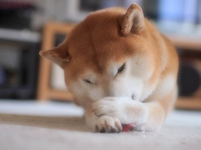 12日ブログ9